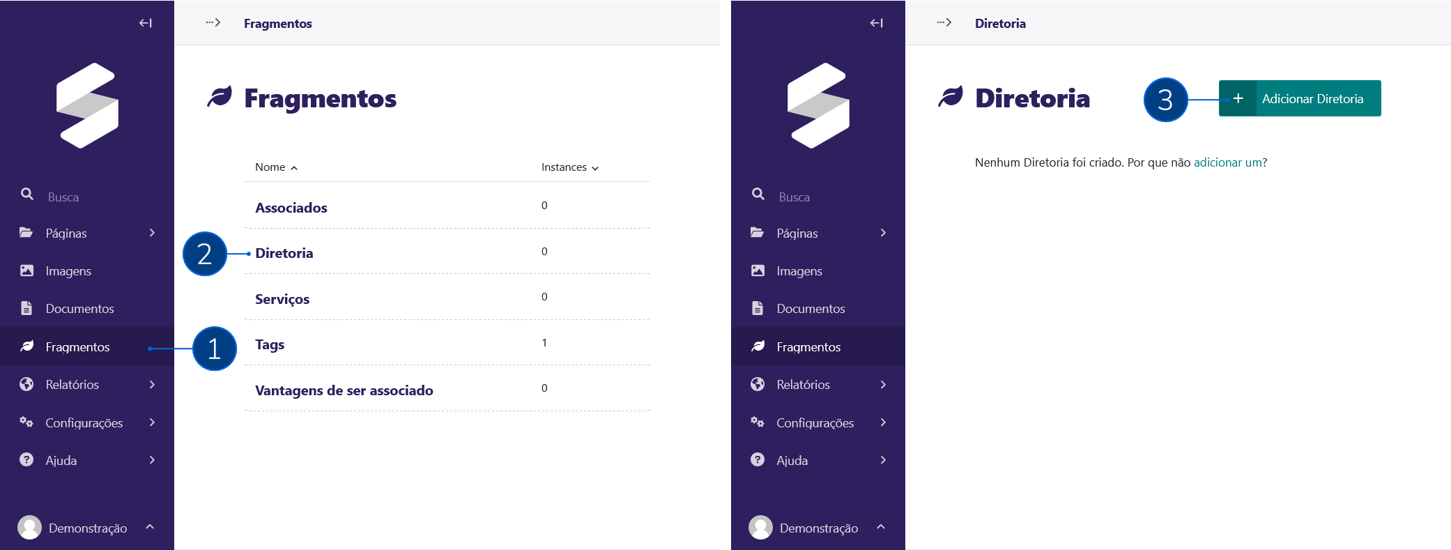 Manual: Páginas Institucionais - Diretoria